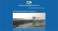 Desktop Screenshot of moleyarllp.com